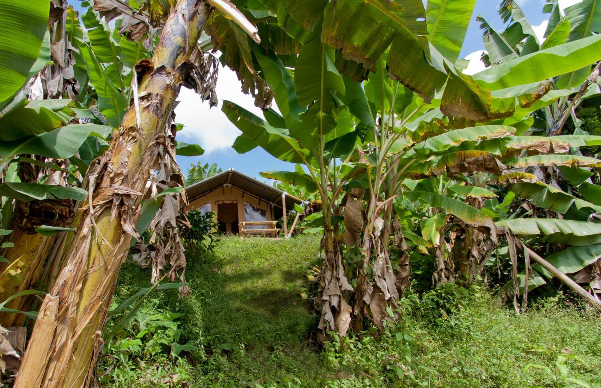 Glamping Jardin Hotel Exterior photo